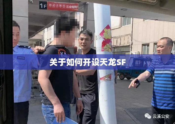关于如何开设天龙SF 关于如何开设天龙SF