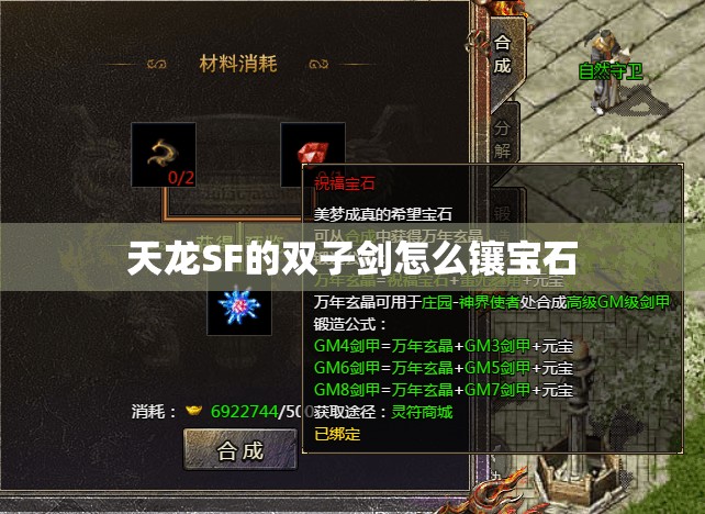 天龙SF的双子剑怎么镶宝石 天龙SF的双子剑怎么镶宝石