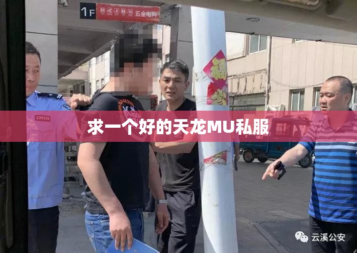 求一个好的天龙MU私服 求一个好的天龙MU私服